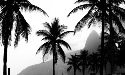 Copy-of-H-3X2-BW-Ipanema-INSTA