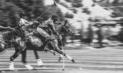 Copy-of-P-2X1-BW-Aspen-Polo-Club