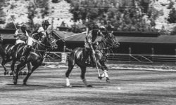 Copy-of-P-2x1-BW-Aspen-Polo-Club-INSTA