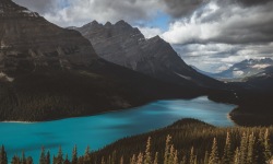 H-3x2-Peyto-Lake-Cloudy-Turquoise-Mood