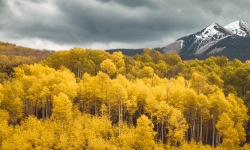 P-3x1-Golden-Rockies-Mt-Sopris