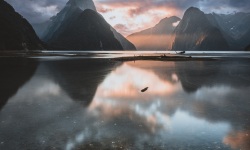 MILFORD-SOUND-sunset-Fjordland-National-Park-48.1v