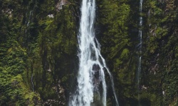 Milford-Sound-Boat-Tour-Stirling-Falls-921