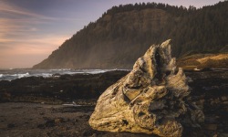 H-3X2-Cape-Perpetua-Coast