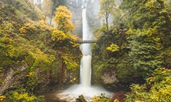 H-3X2-LE0067-Multnomah-Falls-in-Autumn