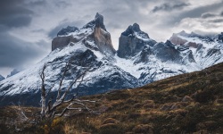 H-3x2-Torres-del-Paine-Burnt-Forest