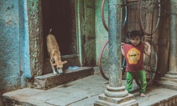 H-3x2-Varanasi-Girl-and-Dog