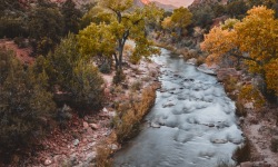 V-3x2-Zion-Canyon-Junction-Bridge-II