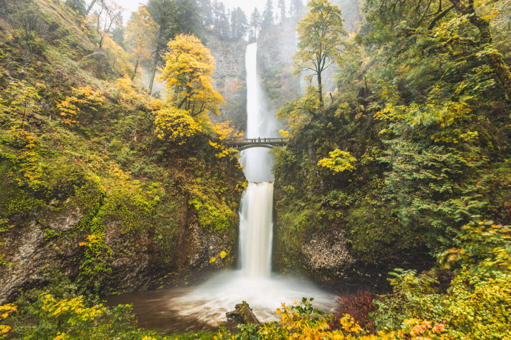 LE0067 - Multnomah Falls in Autumn