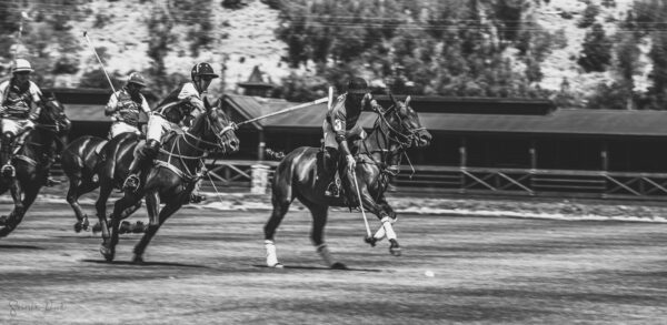 Aspen Polo Club