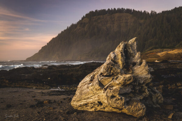 Cape Perpetua Coast