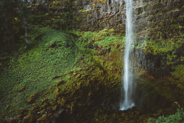 Lincoln Falls