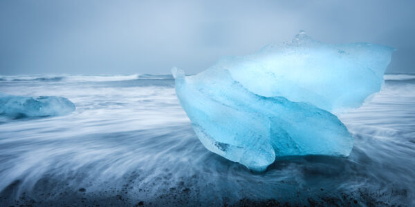 Diamond Beach, The Blue Snail