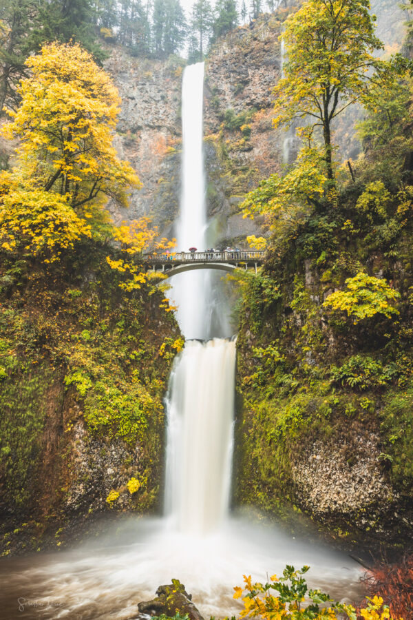 Multnomah Falls Umbrella