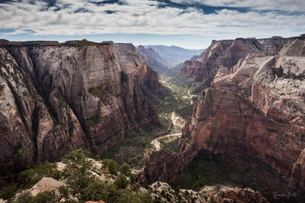 Zion Observation Point II