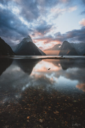 Milford Sound Sunset Fjordland National Park