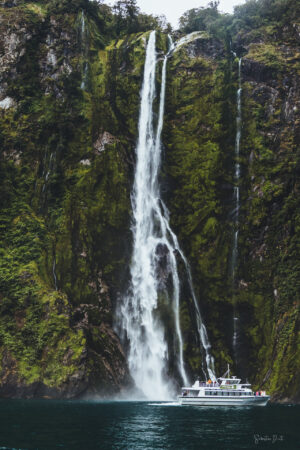 Milford Sound Boat Tour Stirling Falls