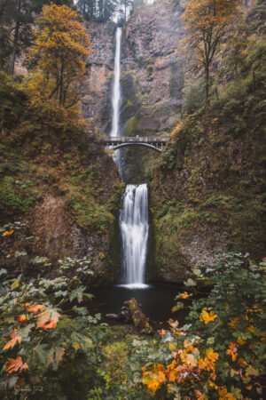 Multnomah Falls Oregon
