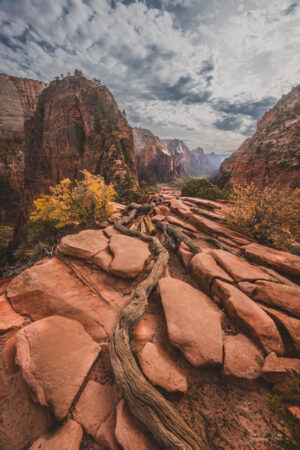 Zion Angels Landing III